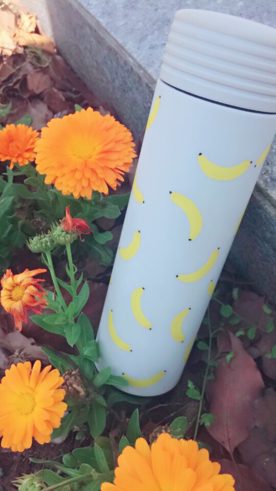 2017-05-10 100541.jpg