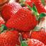 香甜小草莓