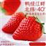 草莓99红颜牛奶大奶油新鲜水果礼盒当季整箱