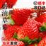 草莓新鲜水果礼盒5斤孕妇红颜奶油九九大99牛奶草莓整箱3顺丰包邮