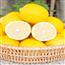 四川安岳黄柠檬5斤应当季新鲜水果整箱皮薄精选一级香水青甜柠檬6