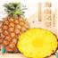 海南凤梨（大果五斤约2—3个）