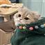 2可爱猫猫保暖柔软服饰