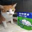 猫猫零食