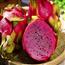 红心火龙果