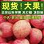 山东苹果正宗红富士苹果新鲜水果10斤批发脆甜富士苹果整箱