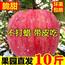 当季正宗陕西洛川红富士栖霞脆甜10斤冰糖心苹果 