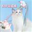 猫咪毛球流苏长杆逗猫棒