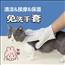 宠物免洗手套