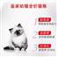 猫粮2