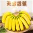 天宝香蕉高山大香蕉当季新鲜水果现摘自然熟甜蕉