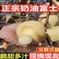 正宗山东烟台苹果黄金奶油富士脆甜新鲜水果栖霞牛奶包邮冰糖心5斤