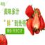 红颜草莓