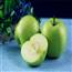 新鲜脆苹果