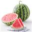 脆甜南汇8424西瓜