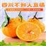 四川小丑橘