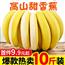 高山甜雪蕉