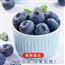 云南高山蓝莓