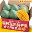 攀枝花凯特芒果
