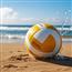 排球