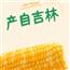 小祥玉米