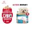 幼犬奶糕罐头