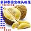 泰国金枕头榴莲5-6斤装