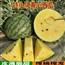 特小风黄心西瓜