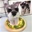 羊毛毡戳戳乐diy仿真宠物猫咪小狗定制礼物摆件