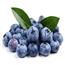 蓝莓