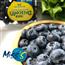 秘鲁蓝莓鲜果4盒新鲜蓝梅当季时令宝宝辅食孕妇水果进口蓝莓