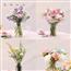 新鲜包月鲜花水培家用插花混花束搭配简繁花