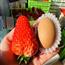 丹东草莓大果