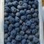 蓝莓