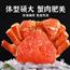 蟹舞烟花熟冻雪蟹