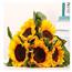 散装花束 鲜花家用水养插花 向日葵 鲜切花 5支