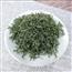 信阳毛尖特级嫩芽尖250g罐装绿茶毛尖茶