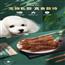 宠物狗狗零食泰迪金毛磨牙鸭肉干