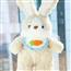 英国NEXT MEDE轻奢品牌可爱小兔子玩偶晚安兔子陪睡公仔毛绒玩具
