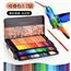 爱学习彩色画笔雷诺阿画画油性水溶性120色儿童彩铅笔专业美术生套装涂色专用彩铅绘画彩笔3100素描工具