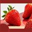 草莓