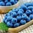 蓝莓4盒