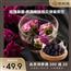 茶树屋·玫瑰桑葚养颜焕肤组合袋装茶饮