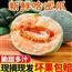 爆甜哈密瓜新疆正宗应季水果