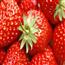 草莓