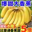 正宗云南香蕉现摘自然熟大香蕉应季水果新鲜软糯香甜芭蕉