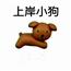 上岸小狗