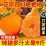 新鲜四川耙耙柑 当季水果
