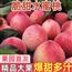 【新鲜发货】现摘新鲜正宗水蜜桃脆甜桃子应季新鲜水果毛桃血桃脆甜多汁整箱