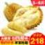  正宗泰国进口金枕头榴莲A果 新鲜带壳水果 坏果包赔 5-6斤装（1个）包4房肉